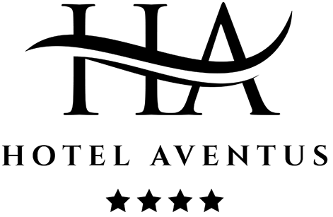 Hotel Aventus - Baile Felix